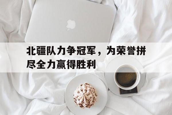 半岛体育官方APP-北疆队力争冠军，为荣誉拼尽全力赢得胜利