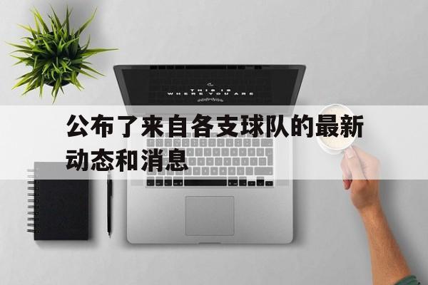 半岛体育APP-公布了来自各支球队的最新动态和消息